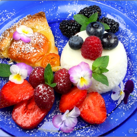 Honig-Joghurt-Dessert © Liz Collet
